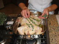 stuffed chicken y10